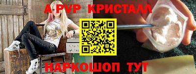 СК Краснознаменск