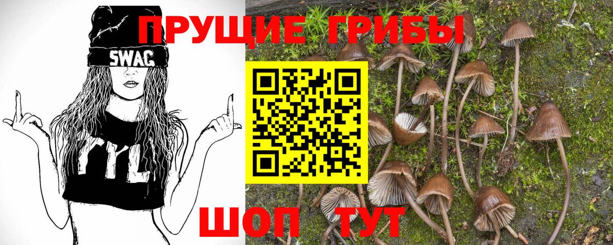 Псилоцибиновые грибы ЛСД Костомукша